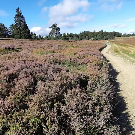 Ferienhaus, Wissinghausen ميدهباخ
