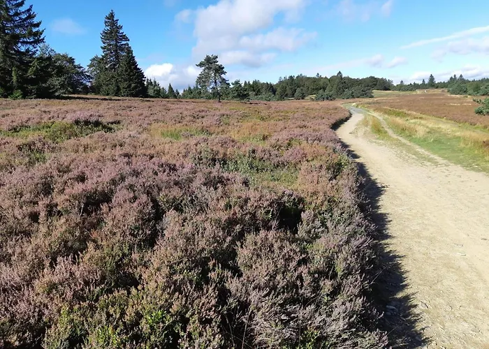 Ferienhaus, Wissinghausen Medebach